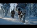 The North Still Calls ⚔️ | Epic Viking War Music