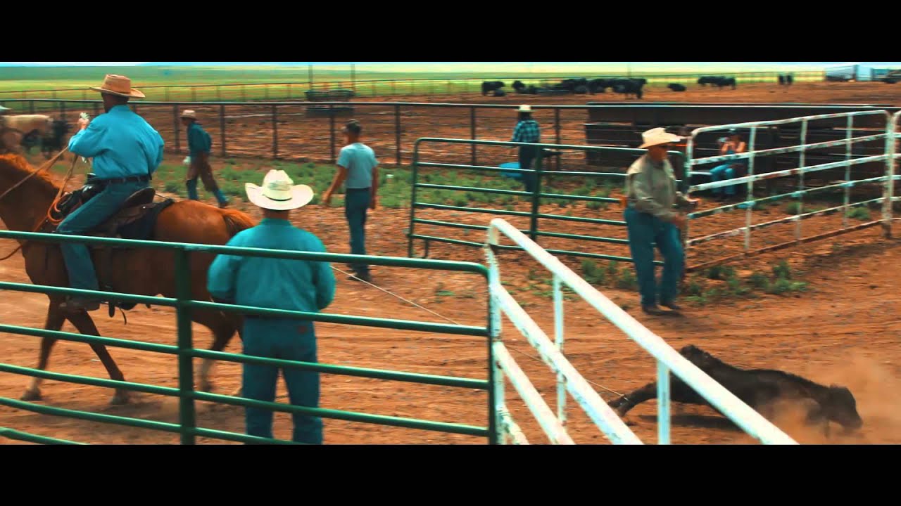 HARRIS RANCH BRANDING 2015 - BOSLER, WYOMING