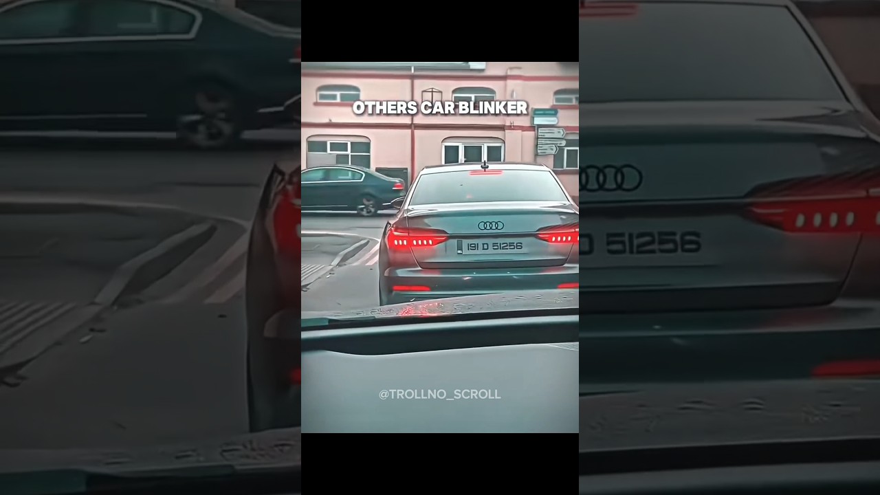 OTHER CAR BLINKERS 💀 