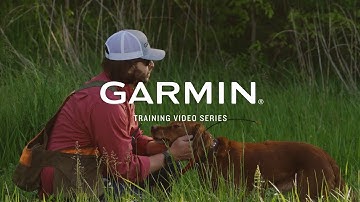 Alpha® 10: Join the hunt – Garmin® Retail Training
