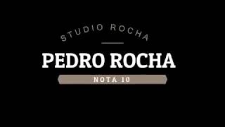 Video thumbnail of "Pedro Rocha NOTA 10(COVER)"