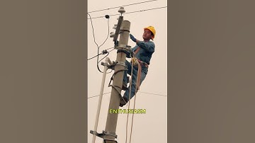 Great Action of Electricians