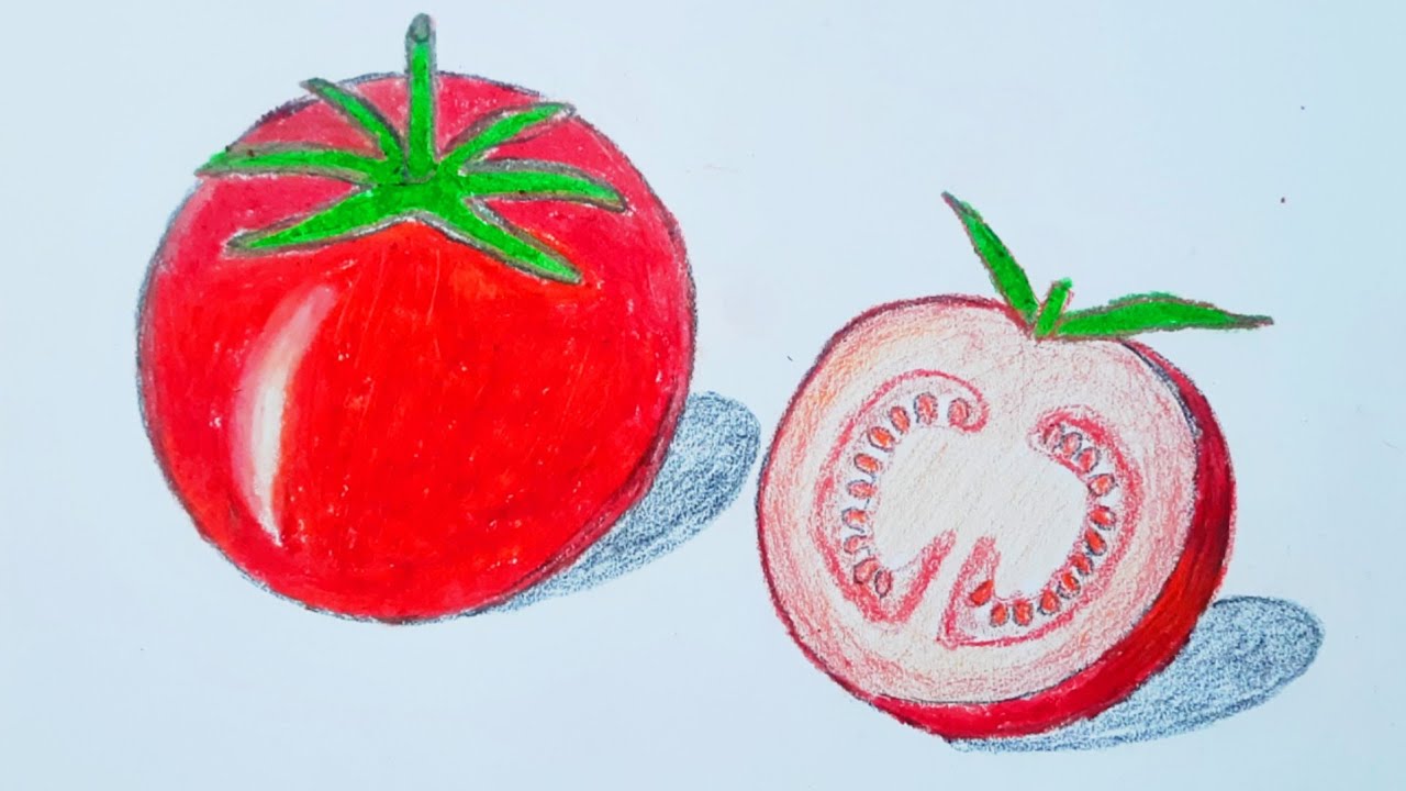 Fresh Red Tomato Drawing || Tomato Drawing Realistic Still Life || Ripe Tomato Drawing || Art ||