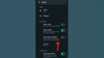 How to on video message in WhatsApp #trending #whatsapp #viral #creator