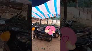 vlog khởi nghiệp của Ngọc nhi