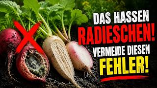 Das hassen Radieschen! Warum sie madig, scharf & holzig werden (Und wie Ihr diesen Fehler sofort ve