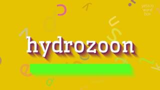 HYDROZOON - HOW TO PRONOUNCE HYDROZOON? #hydrozoon