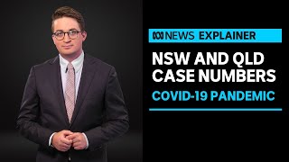 Casey Briggs on what Monday's COVID-19 figures mean for NSW and Qld | ABC News