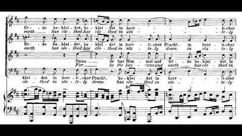 9 & 10.- Awake the Harp, the lyre Awake! (The Creation - J. Haydn) Score Animation