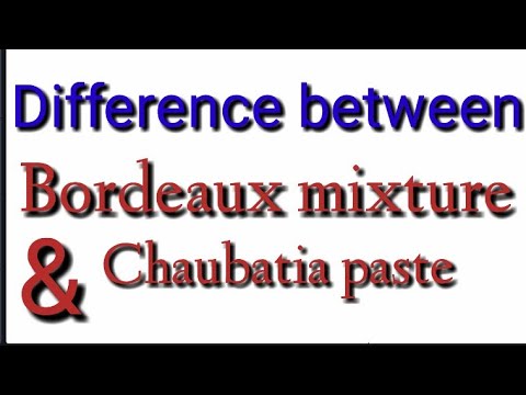Difference between Bordeaux mixture and Chaubatia paste - YouTube