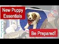 Preparing for Your New Puppy — Essentials and Other Recommended Products