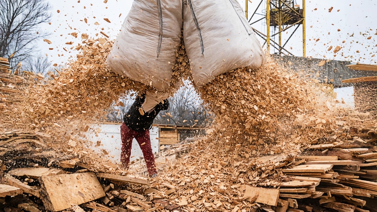 Incredible Skills Mega Professional Wood Shredding Outdoor Transformation