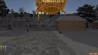 Celebrity Daggerfall Unity is a stunning achievement Profile