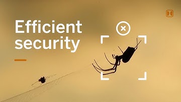 False Alarms: Improving Security System Accuracy in Outdoor Security Cameras