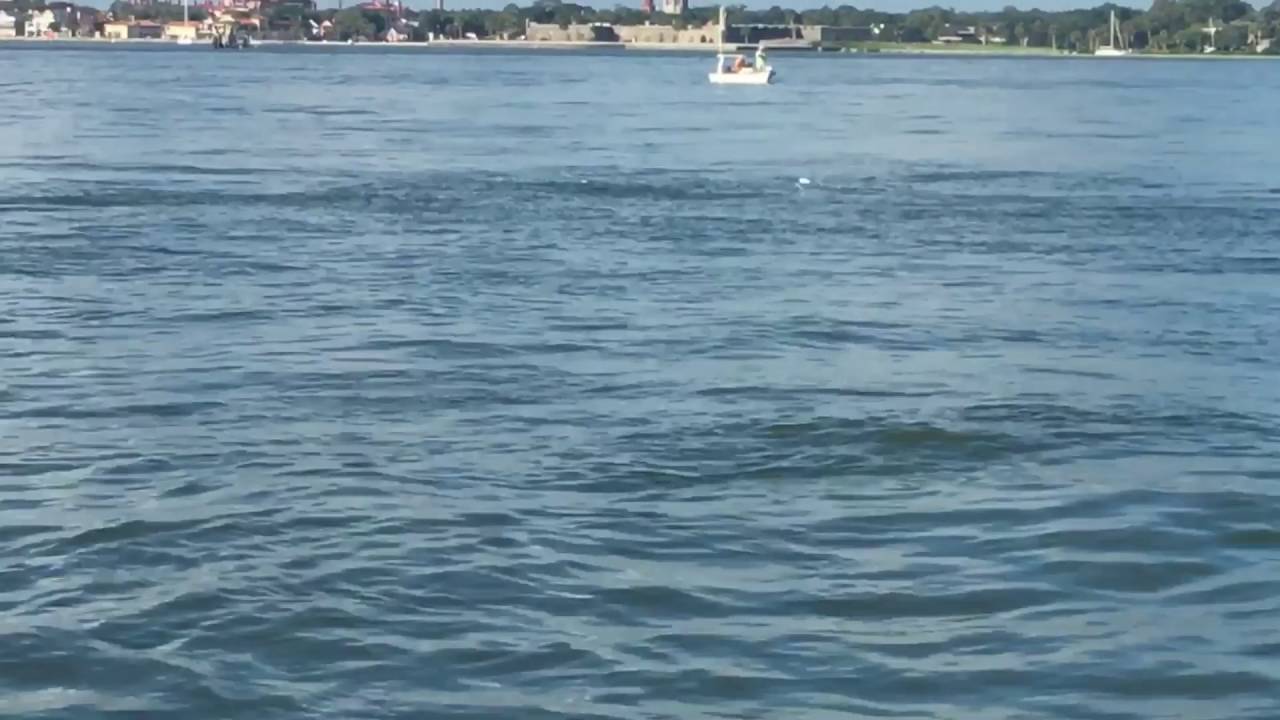 Fly fishing St. Augustine, Florida YouTube