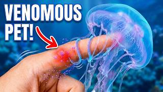I Got a Pet Jellyfish! (Venomous)