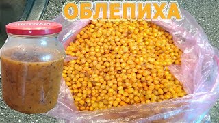 ★Применение ОБЛЕПИХИ в народной медицине от 100 недуг. ★Применение ОБЛЕПИХИ в народной медицине от 100 недуг.