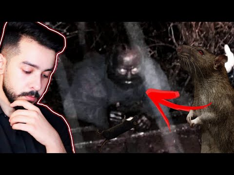 منو هذا وشنو قصة هالصورة ٣قصص مرعبة تصورت عالكاميرا