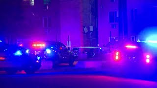 Adams County deputies shoot, kill armed DV suspect