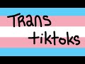 Trans Tiktoks (13+)