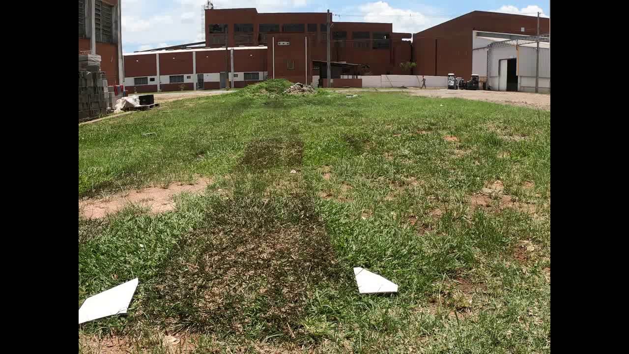 Karcher WR 50 (Weed Remover) YouTube