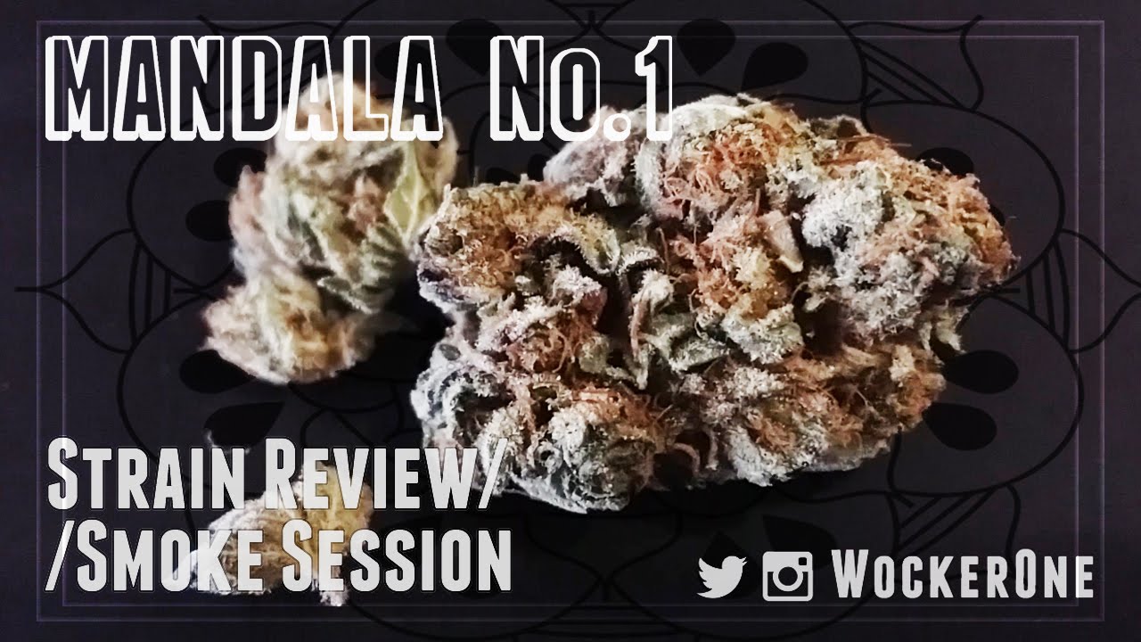 Mandala No. 1 || Strain Review & Smoke Session
