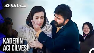 Zelişin Yuvasından Koparılma Hikayesi Sevimli Tehlikeli