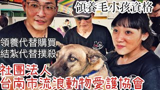 2020/09/19 社團法人台南市流浪動物愛護協會 送養會 @ 台南市安平區 郭順雄老師 李啓維議員 PQS 12夜 毛小孩 猫小孩 嘉南藥大-動物研習社 2020/09/19 社團法人台南市流浪動物愛護協會 送養會 @ 台南市安平區 郭順雄老師 李啓維議員 PQS 12夜 毛小孩 猫小孩 嘉南藥大-動物研習社