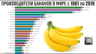 Производители бананов в мире