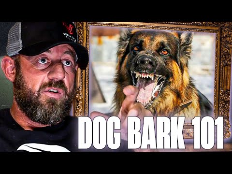What It Means When a Dog's Bark Sounds Like This