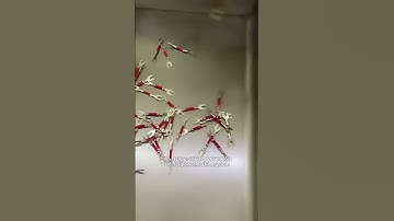 All-Servo Dual-Head Terminal Crimping Machine