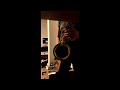 Forever in Love - Kenny G - tenor sax cover