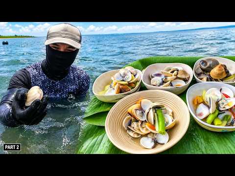 P2 - KABYA Forage and Cook - EP2459