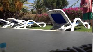 Pinpon Toplarını Türlü Şekillerde Bardağa Sokmak