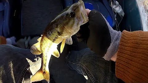 Tournament day Lake Norman (I hate winter fishing)