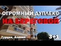 ОГРОМНАЯ квартира в Алании на первой линии Пентхаус в Турции недвижимость для состоятельных