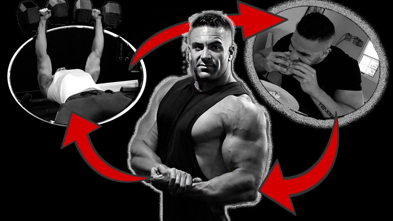 You NEED To Understand This if You Want To Build Muscle!