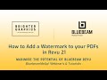 How to Add a Watermark to your PDFs in Revu 21 By Brighter Graphics