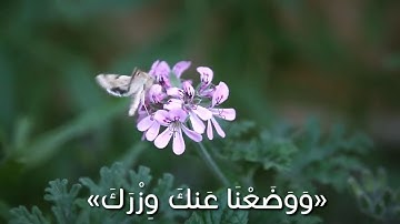 حالات واتس اب //سورة الشرح//بصوت جميل//خاشع للقلوب