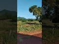 #EstradaDeChao#campo #vidareal #fazenda