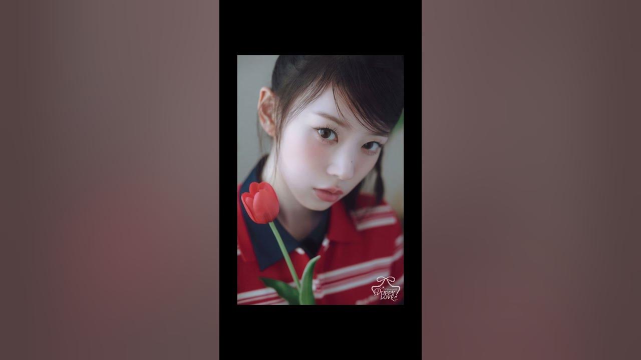 Topping Illit new song (Japanese)   #illit #newsong #kpop #shorts