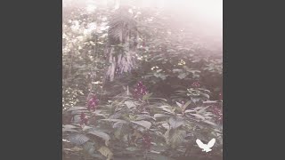 ifitsmoreii'sshelikesyou