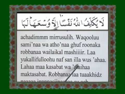 Tawasul Dan Tahlilan Tabayuna Com Youtube