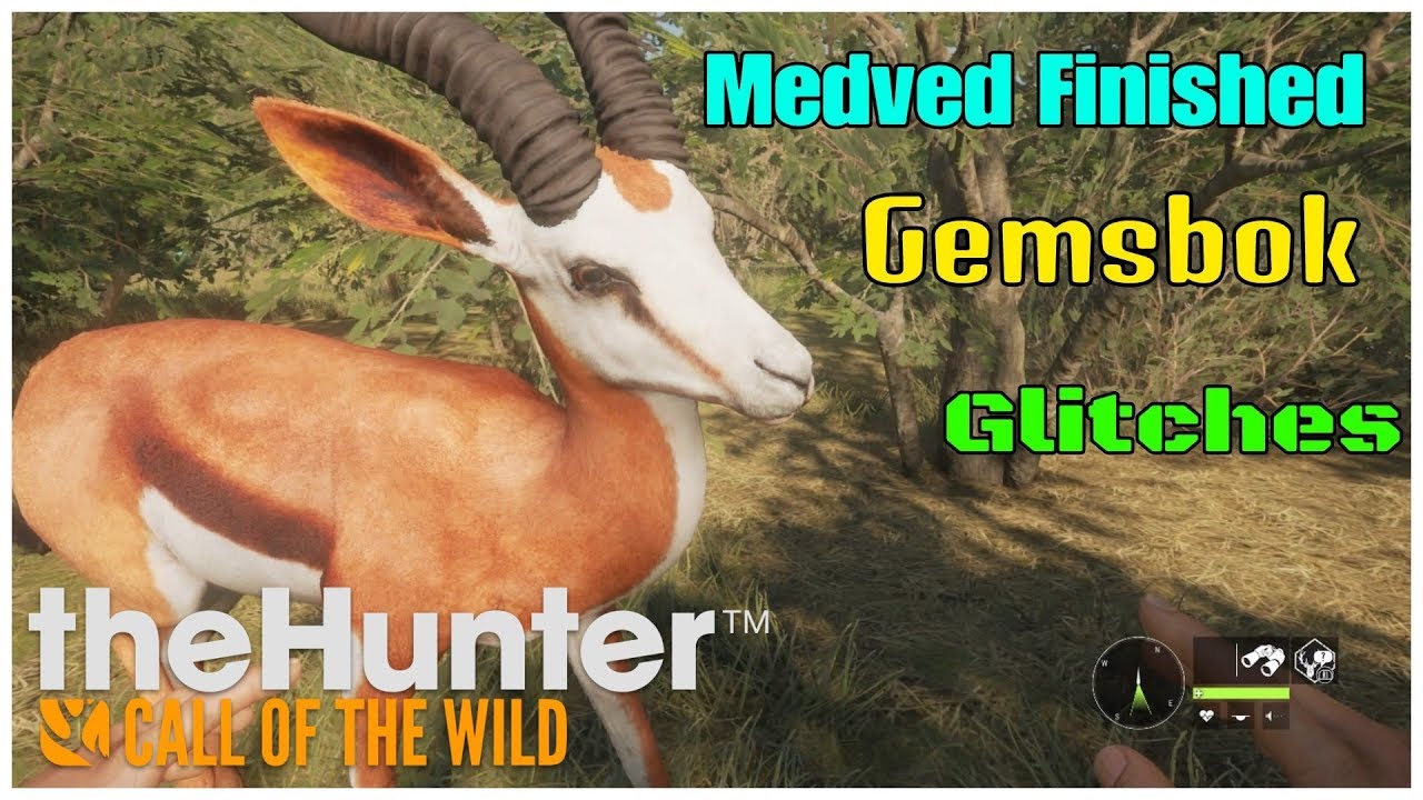 Gemsbok Call Of The Wild