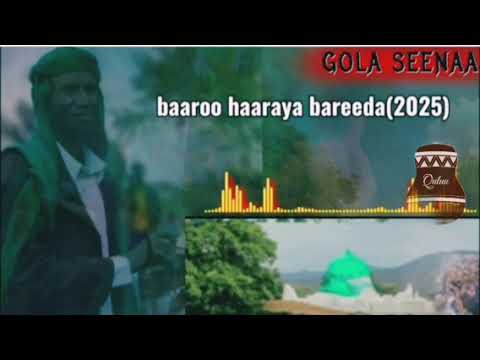 Baaroo Haarawa Bareeda Haalaan Namatti Tolu Bara 2025 Jamal Sano Baaroo Baaroo