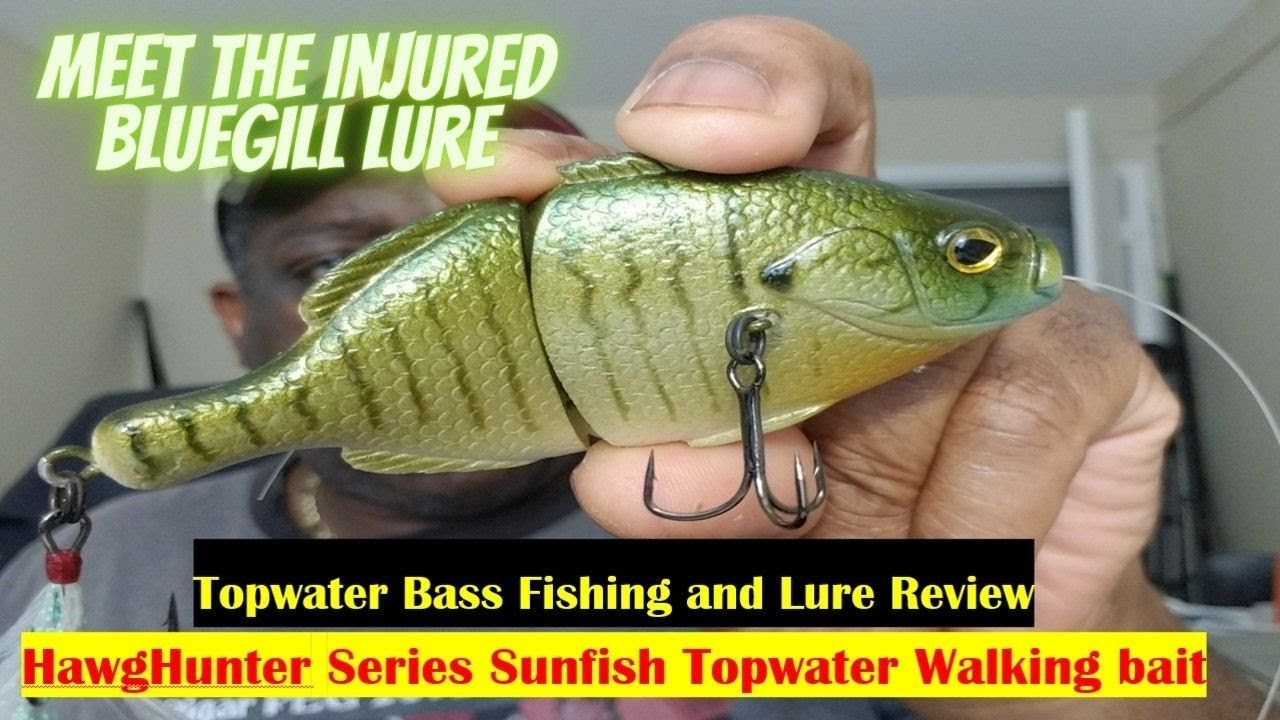 Bass Fishing Lure Review | HawgHunter Series | Sunfish Topwater 