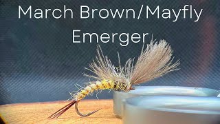 Trout & Grayling Fly Tying Tutorial - March Brown/Mayfly Emerger
