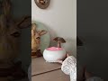артикул 34499903