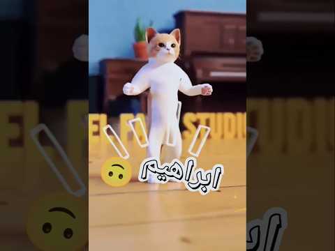 الاكتر طلبا ابراهيم ابراهيم  العراق السعودية قطر الامارات الكويت البحرين اليمن  الجزائر