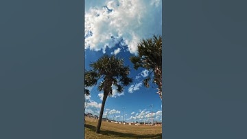 iFlight Nazgul V3 - Gopro Hero 12 #fpv #fpvfreestyle #drone #dji #gaming #fun #sunday